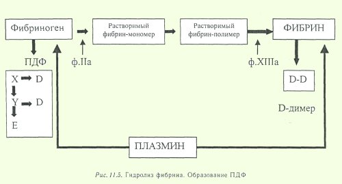 Растворимые фибрин мономерные комплексы. Растворимые комплексы мономеров фибрина. Гидролиз фибрина. Реакция образования фибрина.