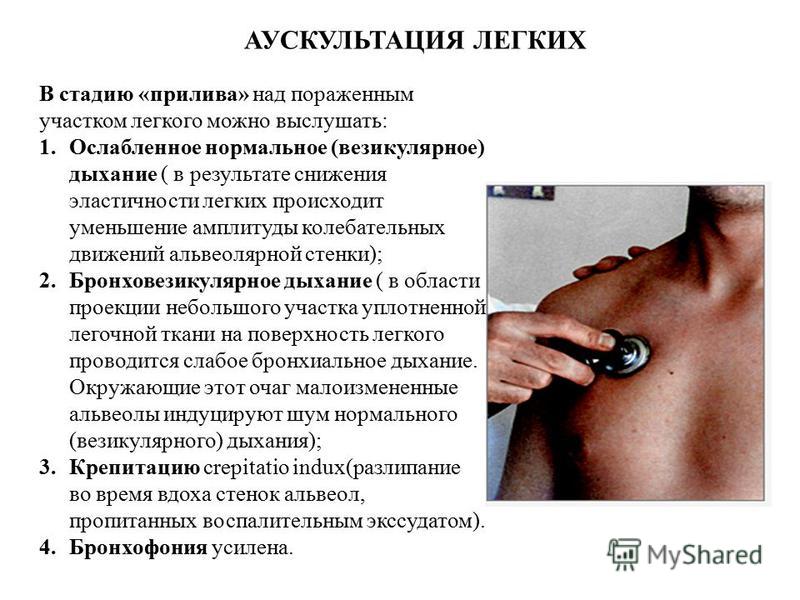 Аускультация сердца пропедевтика презентация