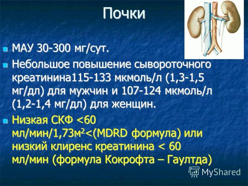 Анализ мочи на мау что это такое. Креатинин мг/дл. Сывороточного креатинина. Креатинин 115. Повышение сывороточного креатинина.