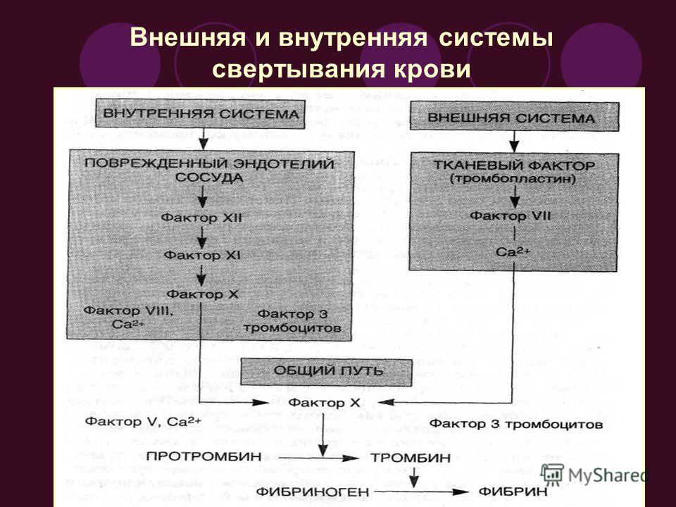 Система свертывания крови схема