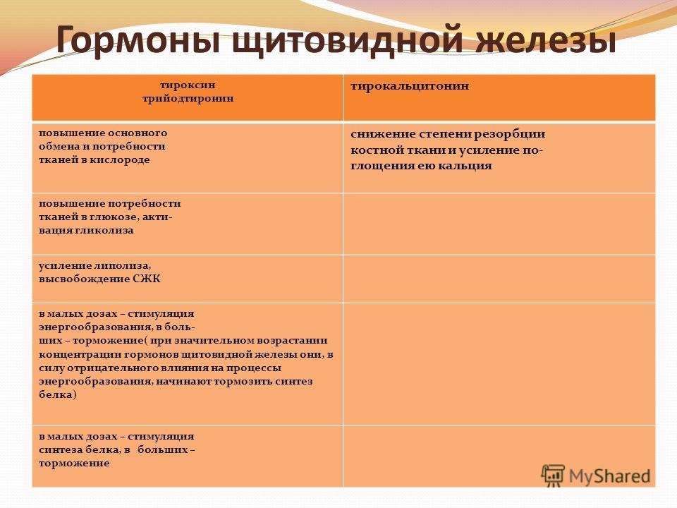 Гормоны щитовидной железы органы мишени