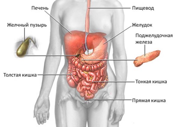 Витамины после удаления желчного пузыря