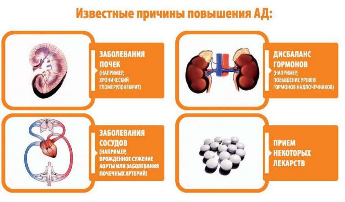 Причины повышения АД