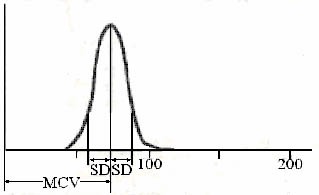 RDW SD