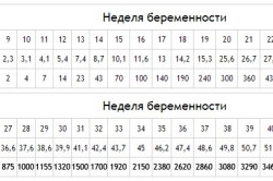 Норма веса и длины плода при беременности