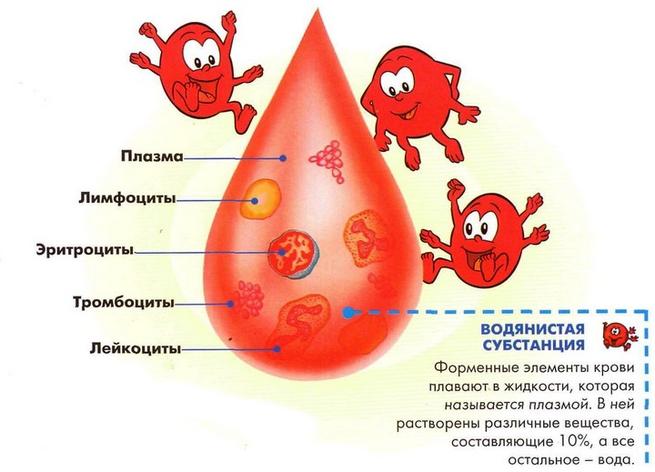 Норма гликированного гемоглобина по возрасту