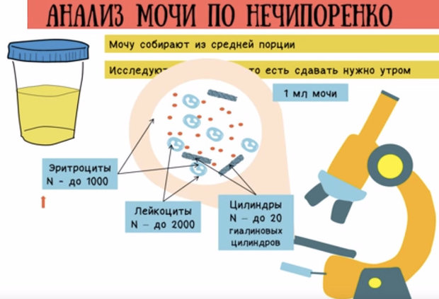 ΠΠ½Π°Π»ΠΈΠ· ΠΌΠΎΡΠΈ ΠΏΠΎ ΠΠ΅ΡΠΈΠΏΠΎΡΠ΅Π½ΠΊΠΎ ΠΠ½Π°Π»ΠΈΠ· ΠΌΠΎΡΠΈ ΠΏΠΎ ΠΠ΅ΡΠΈΠΏΠΎΡΠ΅Π½ΠΊΠΎ