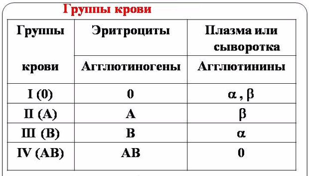 Группы крови — таблица