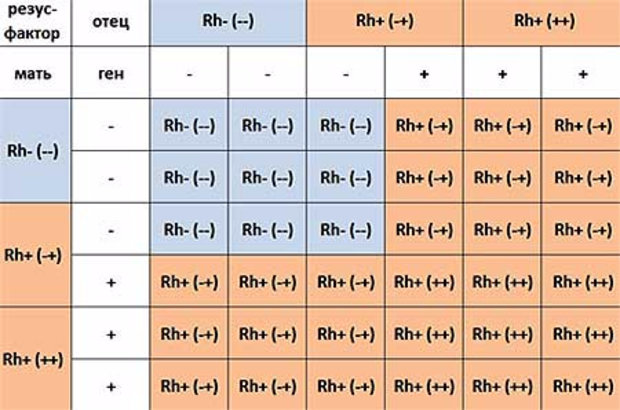 Таблица совместимости групп крови и резус-фактора