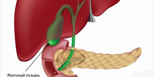 Гепатобилиарная система