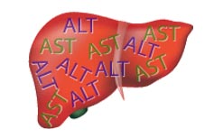 alt_ast_pecheni