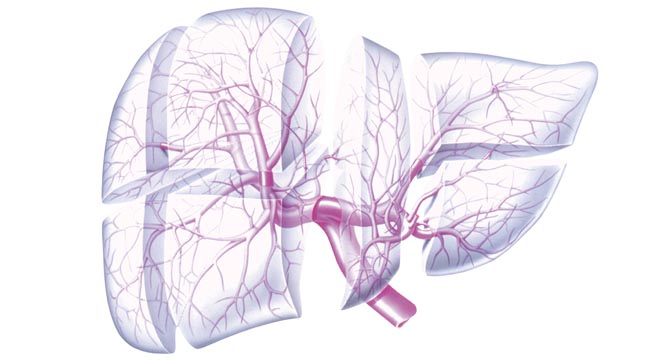 diagnostika_dekompensirovannogo_cirroza