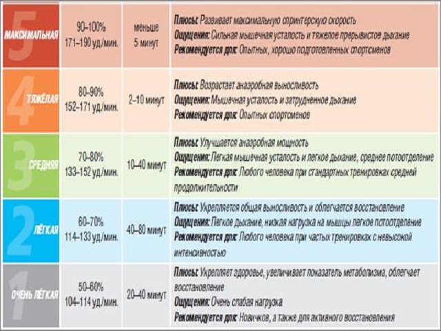 Пульс норма у мужчин в 30-40-50 лет: как определить