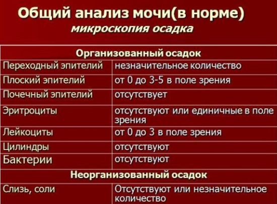 Нормы анализа мочи