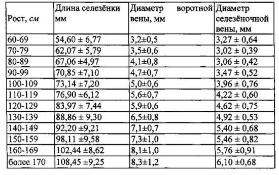 Показатели УЗИ селезенки