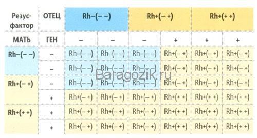 определить резус фактор ребенка по родителям
