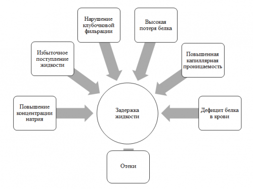 Схема развития отеков