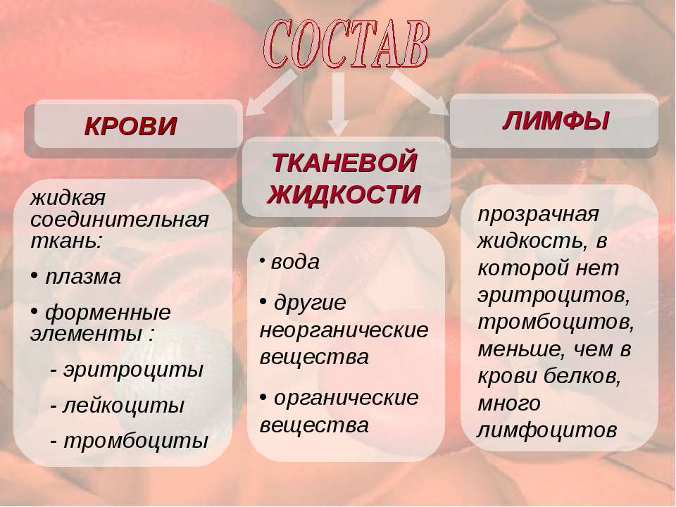 Функции тканевой жидкости. Кровь лимфа тканевая жидкость таблица. Кровь лимфа тканевая жидкость. Состав тканевой жидкости. Функции крови и лимфы.