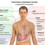 Печеночные глисты у человека: симптомы заражения