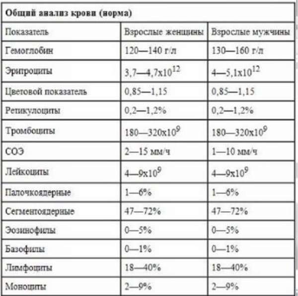 Разновидности лейкоцитов в крови, в чем их важность для человека?