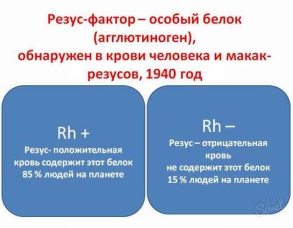 В чем заключаются отличия групп крови у людей, понятие группы крови и резус фактора