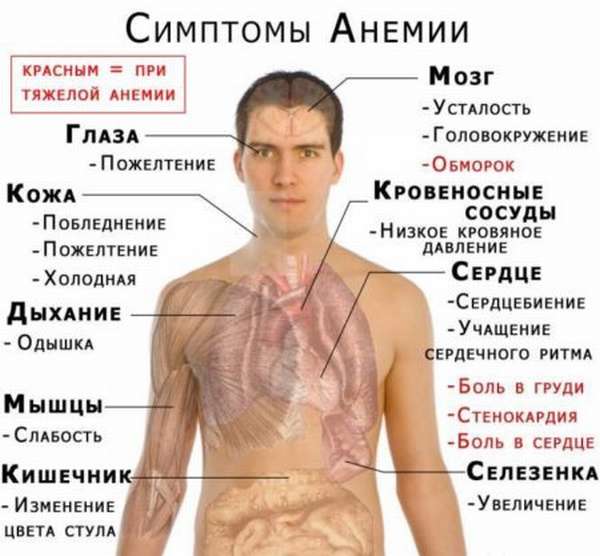 Почему показатели гемоглобина падают до критических отметок в 60 г/л, и как поднять железо?