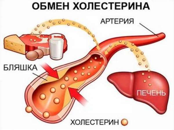 Что надо знать о содержании холестерина в креветках?