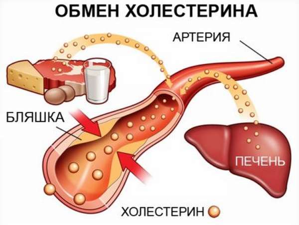 Почему нельзя самостоятельно назначать себе прием таблеток для чистки сосудов? Эффективность препаратов и противопоказания