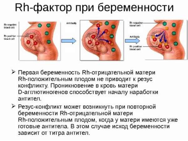 Совместимость 3 отрицательной группы крови с другими группами, резус-фактор и его влияние