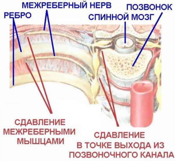 Почему на протяжении недели болит сердце? Распространенные причины, терапия и средства профилактики