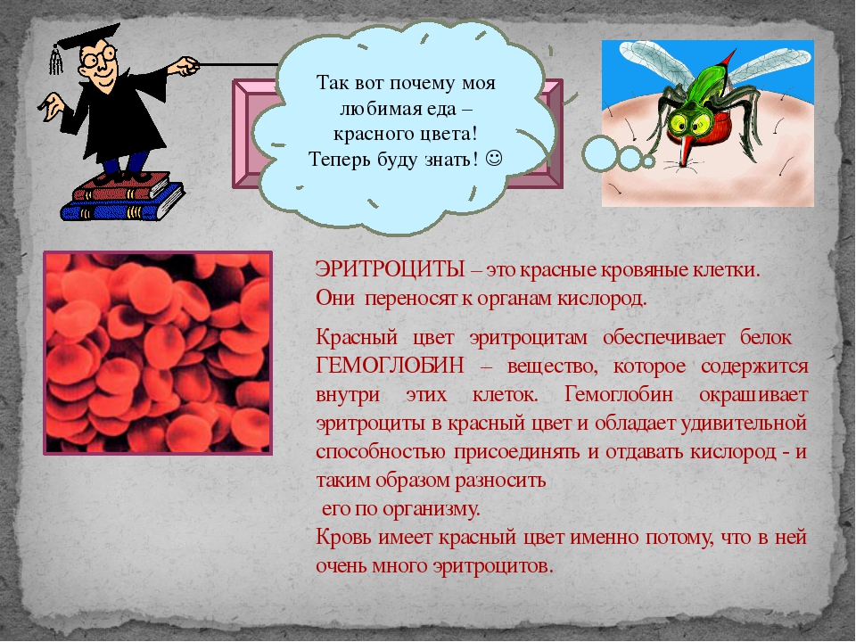 Сейчас будете знать. Почему кровь красная. Почему кровь красного цвета. Кровь 4 класс презентация.