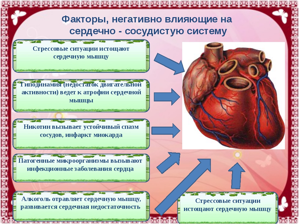 Проект болезни сердца