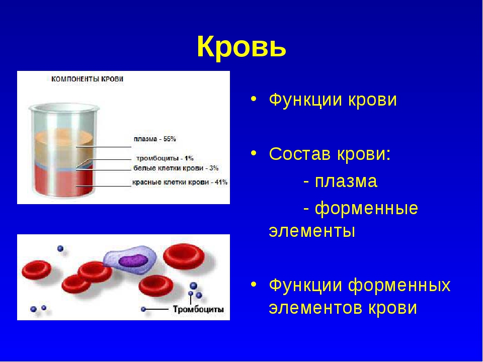 Кровь биология 11 класс. Строение крови. Кровь и компоненты крови. Состав крови. Форменные элементы крови.