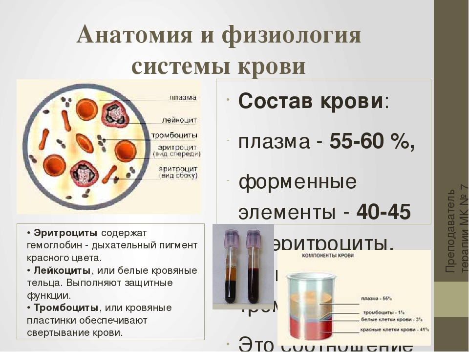 Физиологическая роль форменных элементов крови в организме презентация