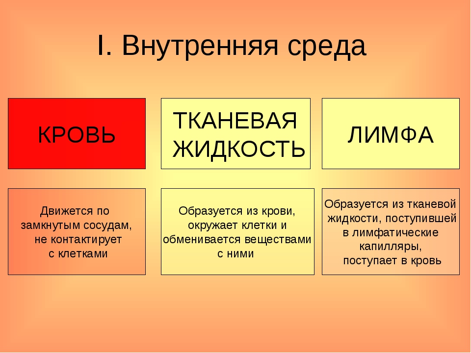 Чем отличается среда. Внутренняя среда кровь лимфа тканевая жидкость. Отличие тканевой жидкости от крови. Из чего образована тканевая жидкость. Разница функции тканевой жидкости и крови.