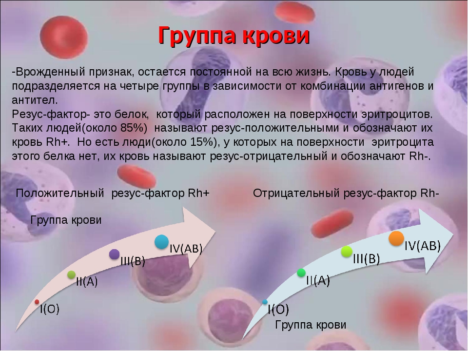 Меняется ли резус крови в течении жизни. Группа крови и резус-фактор. Группа крови резузус фактор. Состав групп крови.