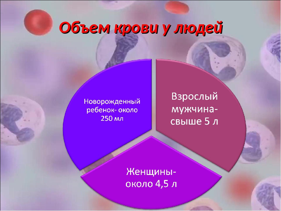 Общее количество крови в организме человека. Объем крови человека. Объем крови у взрослого человека. Общее количество крови в организме взрослого человека. Объем крови у взрослого человека составляет.