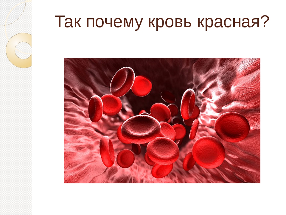Почему кровь считают
