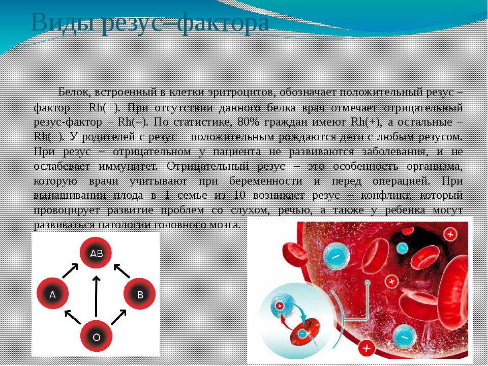 Резус фактор у ребенка. Резус отрицательный эритроцит. Резус белок. Белок резус фактор. Резус фактор на эритроците.