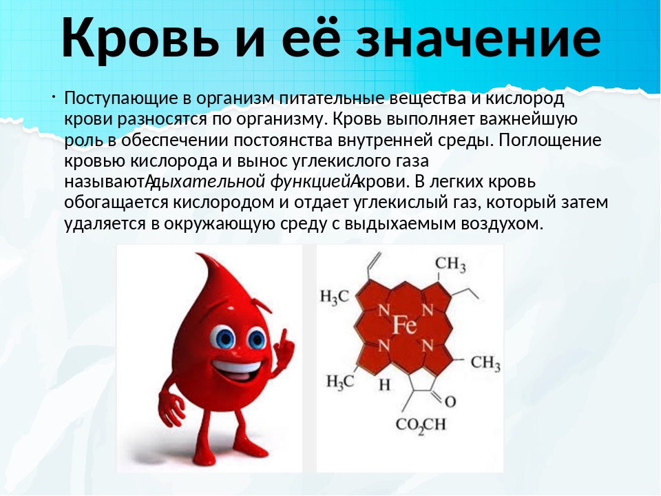 Что значат другие. Значение и функции крови. Сообщение о крови. Роль крови в организме человека. Состав и роль крови в организме человека.
