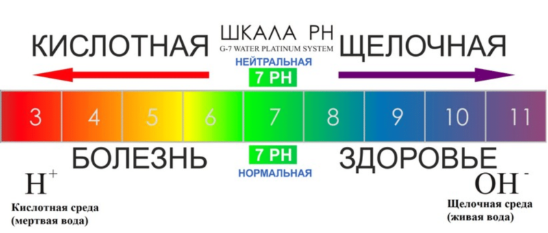 PH-метр: нужен ли он?