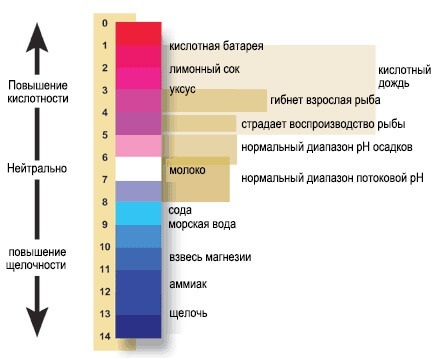 ЩЕЛОЧНАЯ ВОДА: оптимизация pH организма