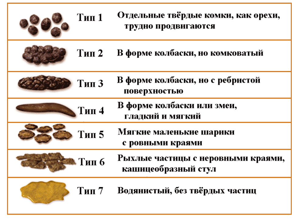 Какой стул после. Нормальный стул у взрослого. Форма кала. Нормальная форма стула у взрослого.