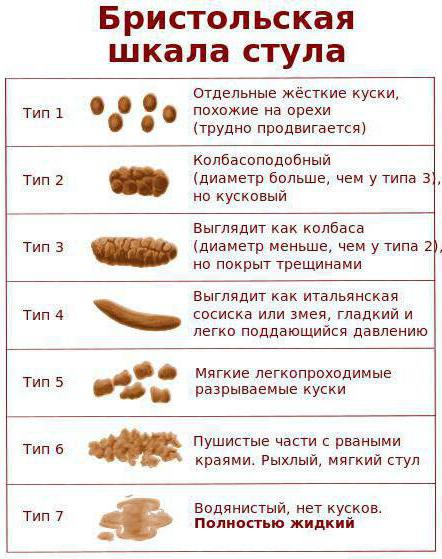 бристольская шкала формы кала