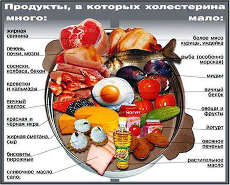 норма холестерина в крови у женщин после 50 лет