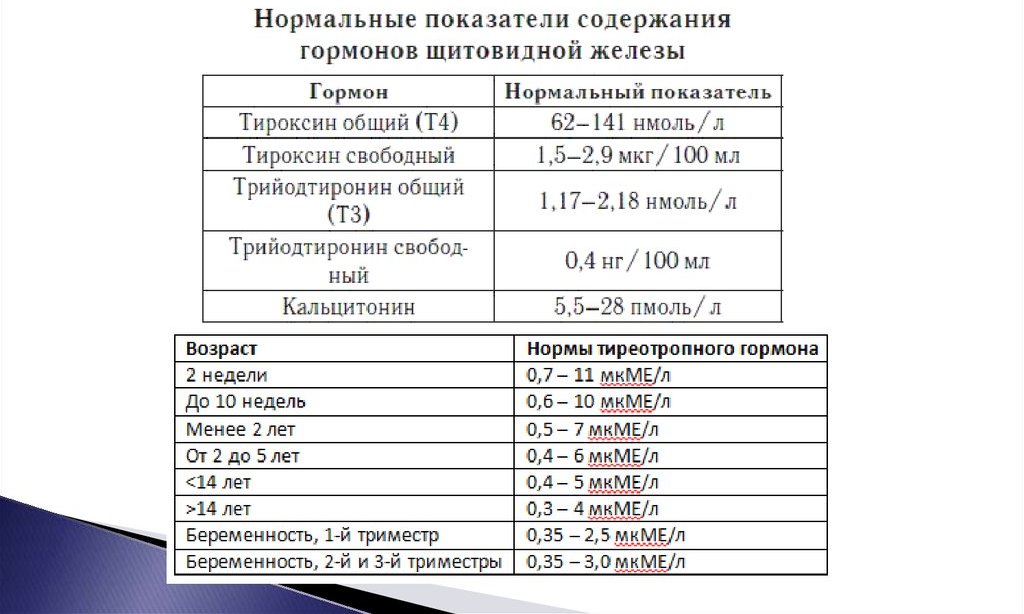 гормоны щитовидной железы норма и патология