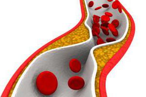 коэффициент атерогенности повышен причины лечение