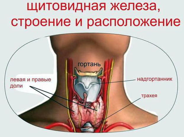 повышенный ттг при нормальном т4