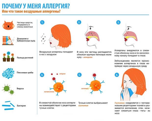 Воздушные аллергены