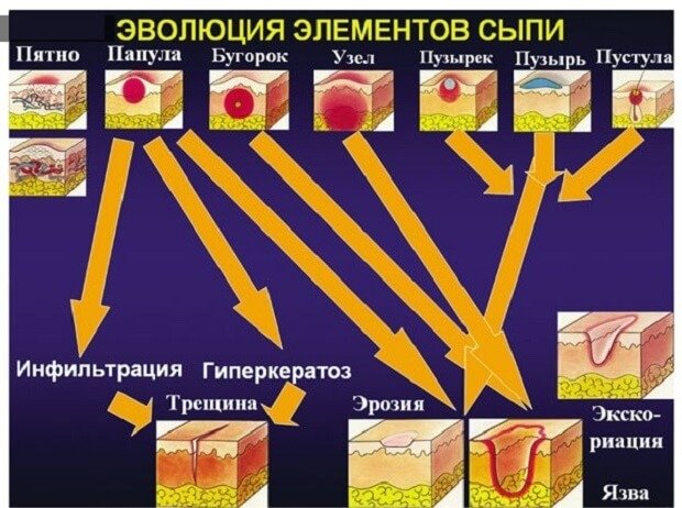 Эволюция элементов